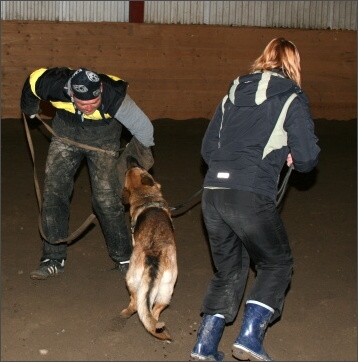 Training in Estonia 11/2007